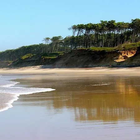 Vandrerhjem Golden Waves Surf And Yoga Furadouro Ovar