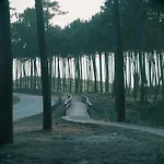 Golden Waves Surf And Yoga Furadouro * אובאר