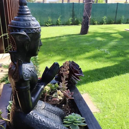 Golden Waves Surf And Yoga Lodge Furadouro Ovar