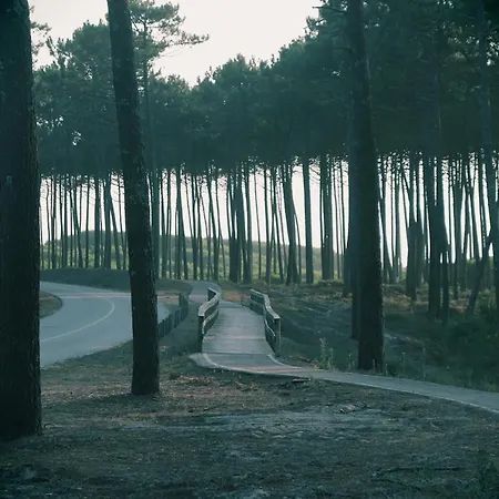 Golden Waves Surf And Yoga Lodge Furadouro * Ovar