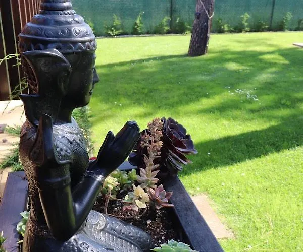 Golden Waves Surf And Yoga Furadouro Ovar