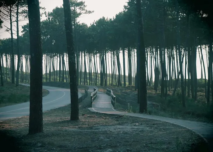 Golden Waves Surf And Yoga Furadouro * Ovar